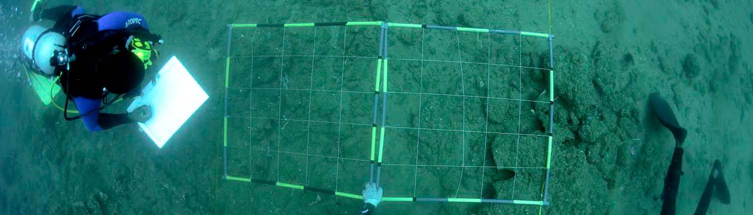 Godawaya shipwreck excavation