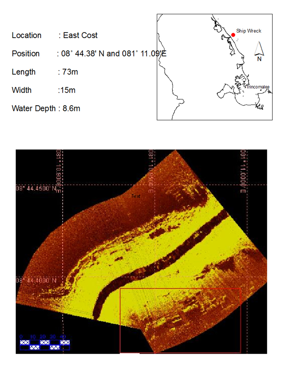 Side Scan image of SS Ava