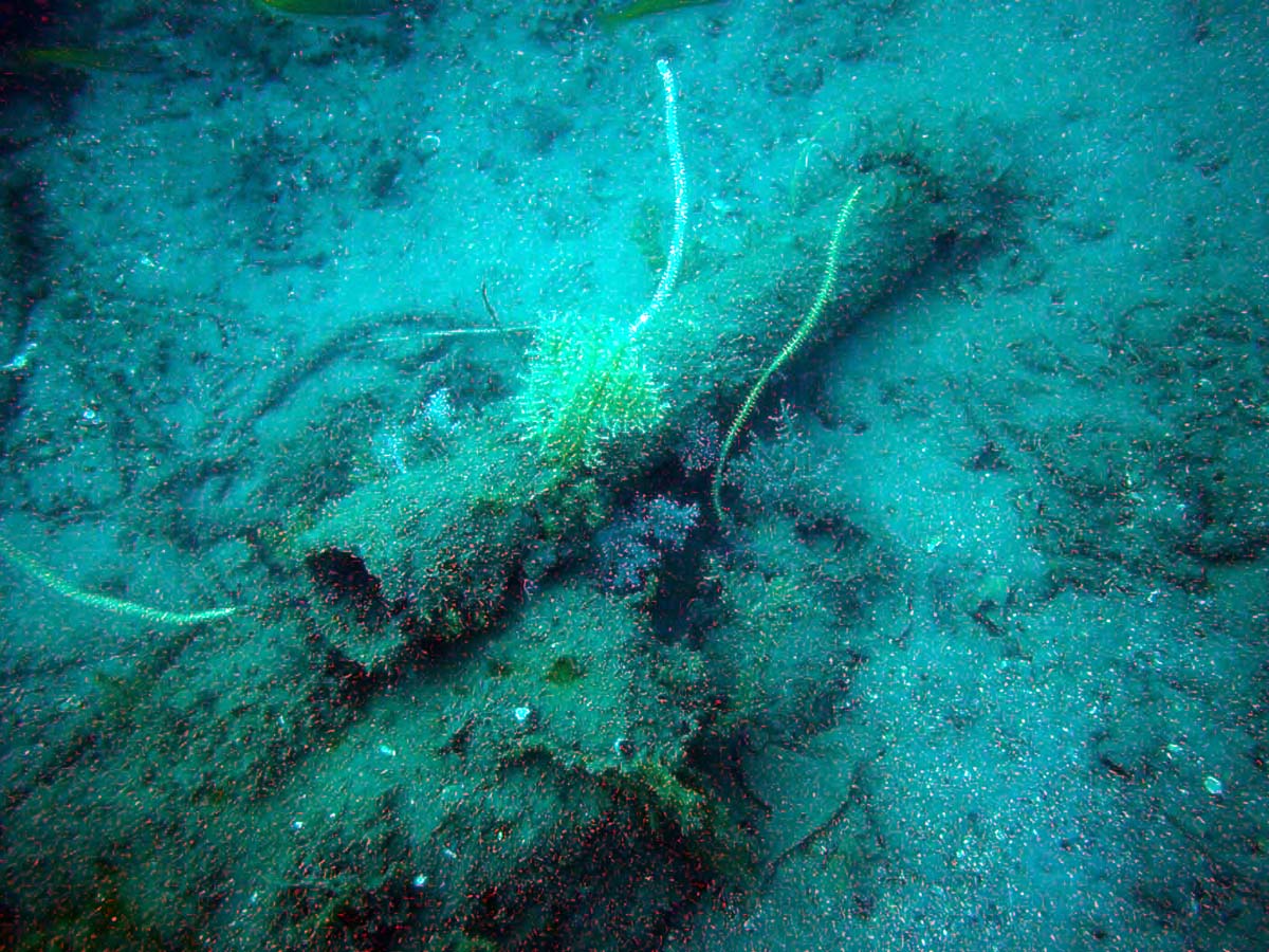 Iron object on the site