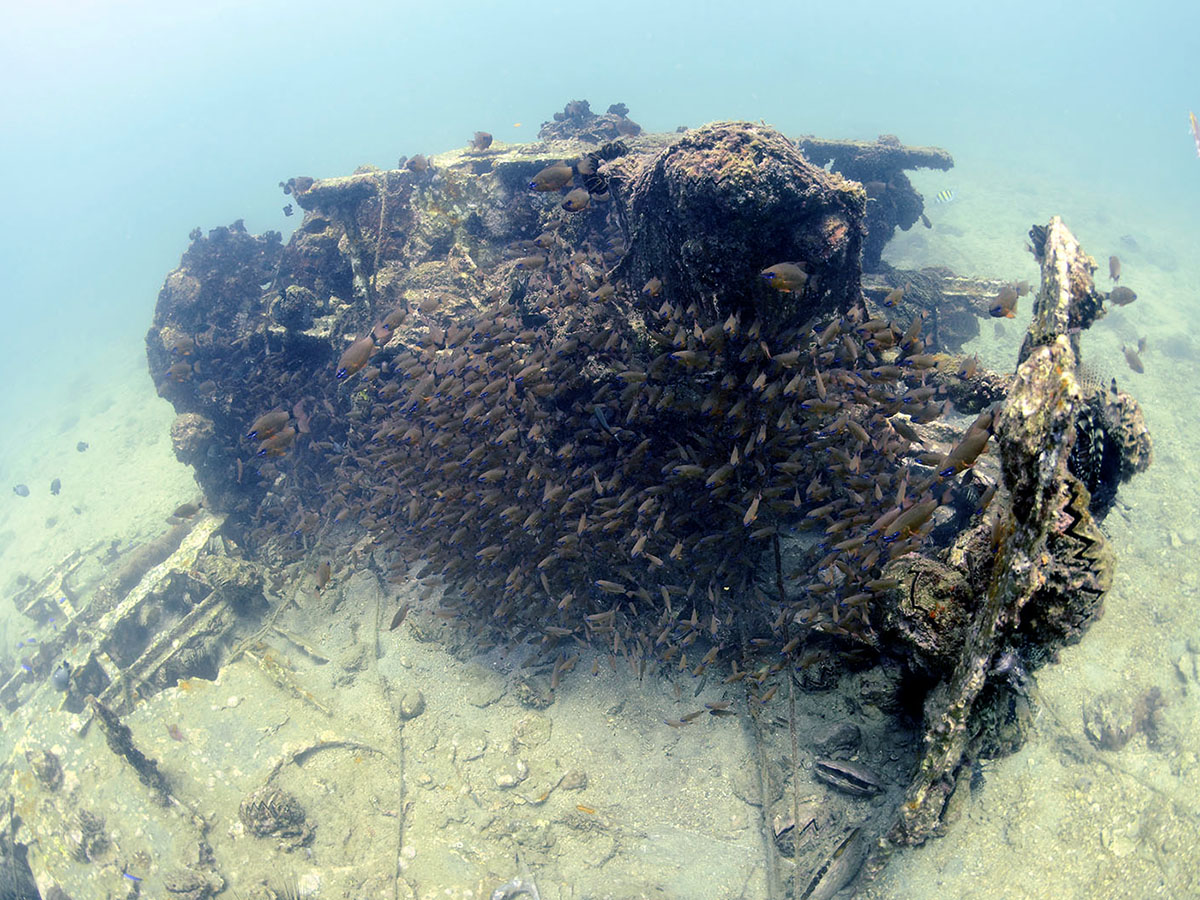 Remains of the boat