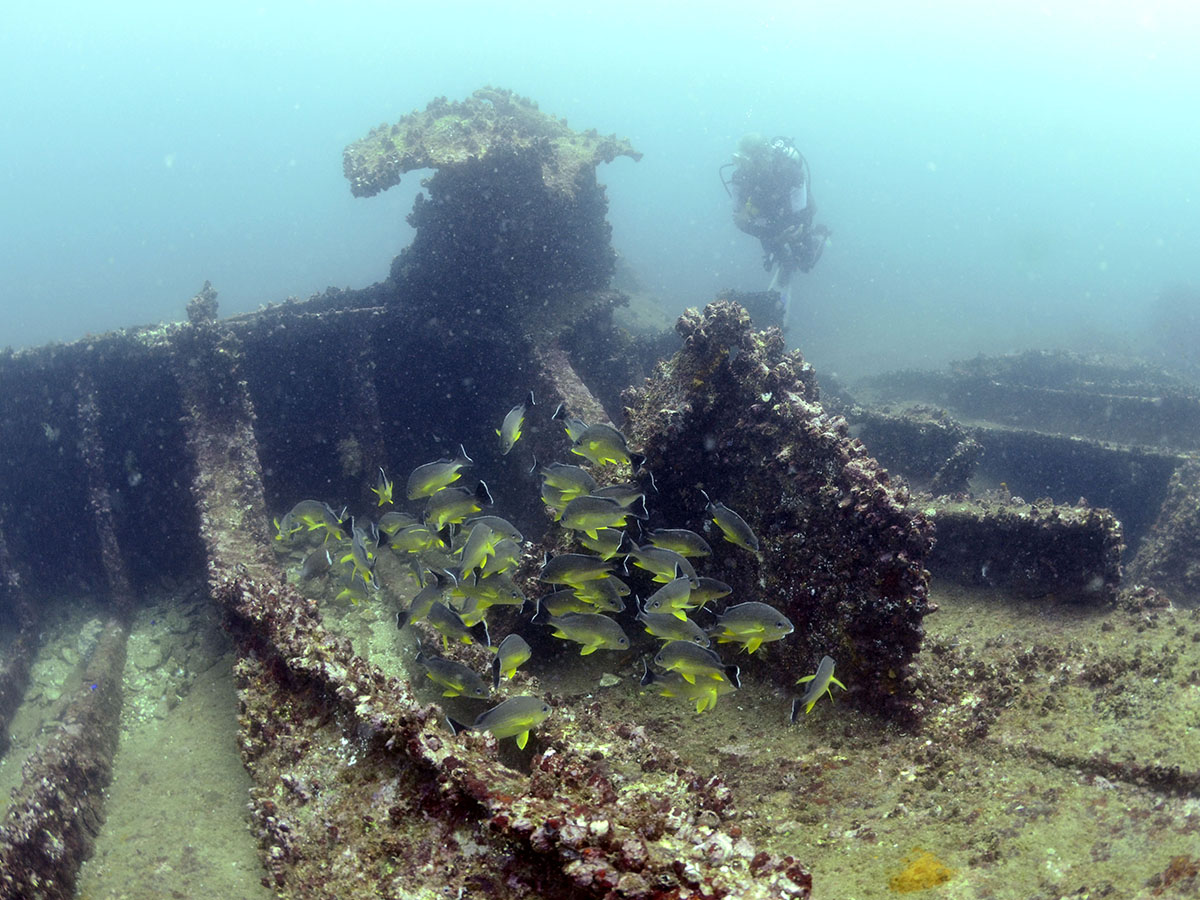 remains of the wreck