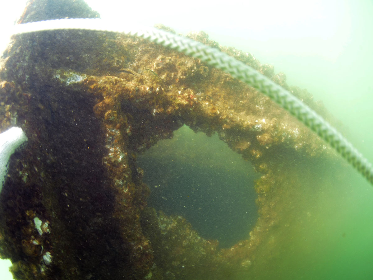 Hull remains of the wreck