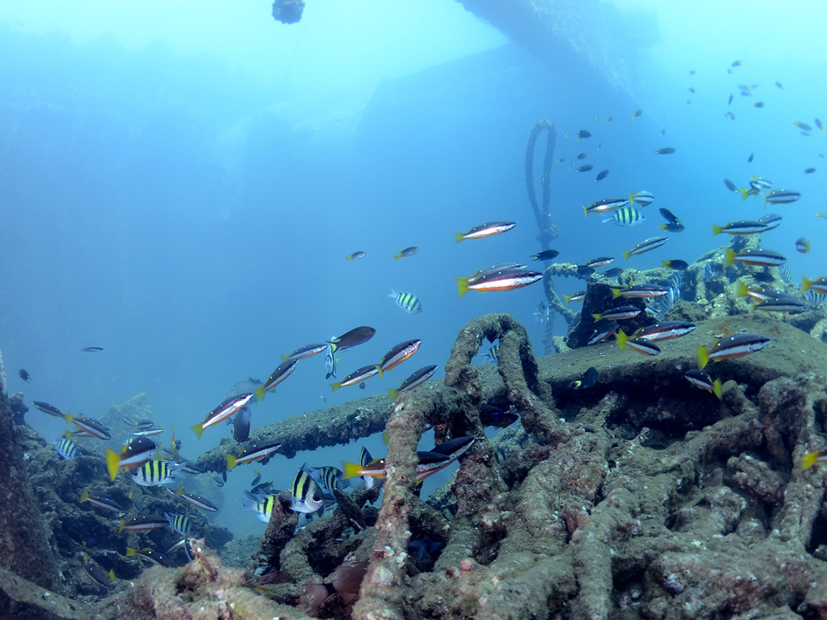 Inside the wreck parts