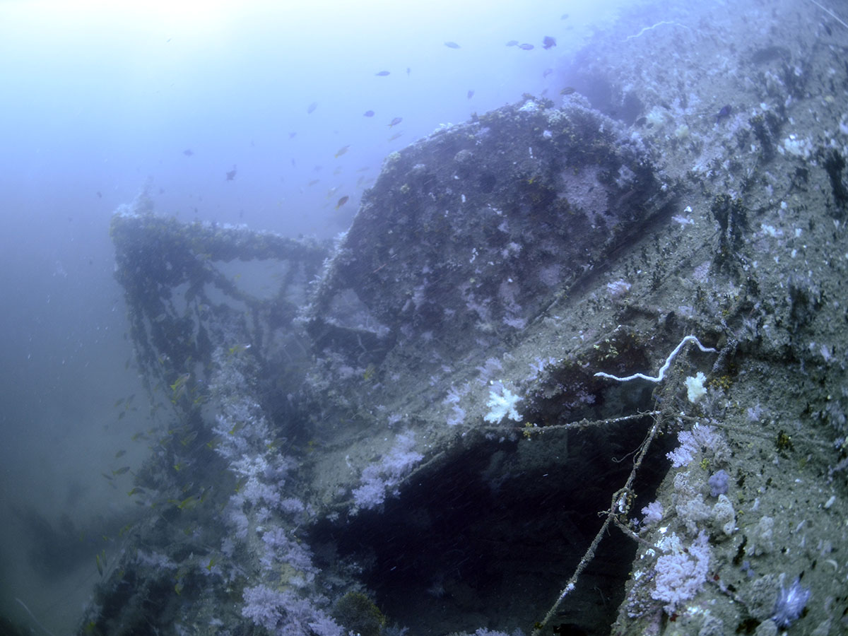 Hull remains of the ship