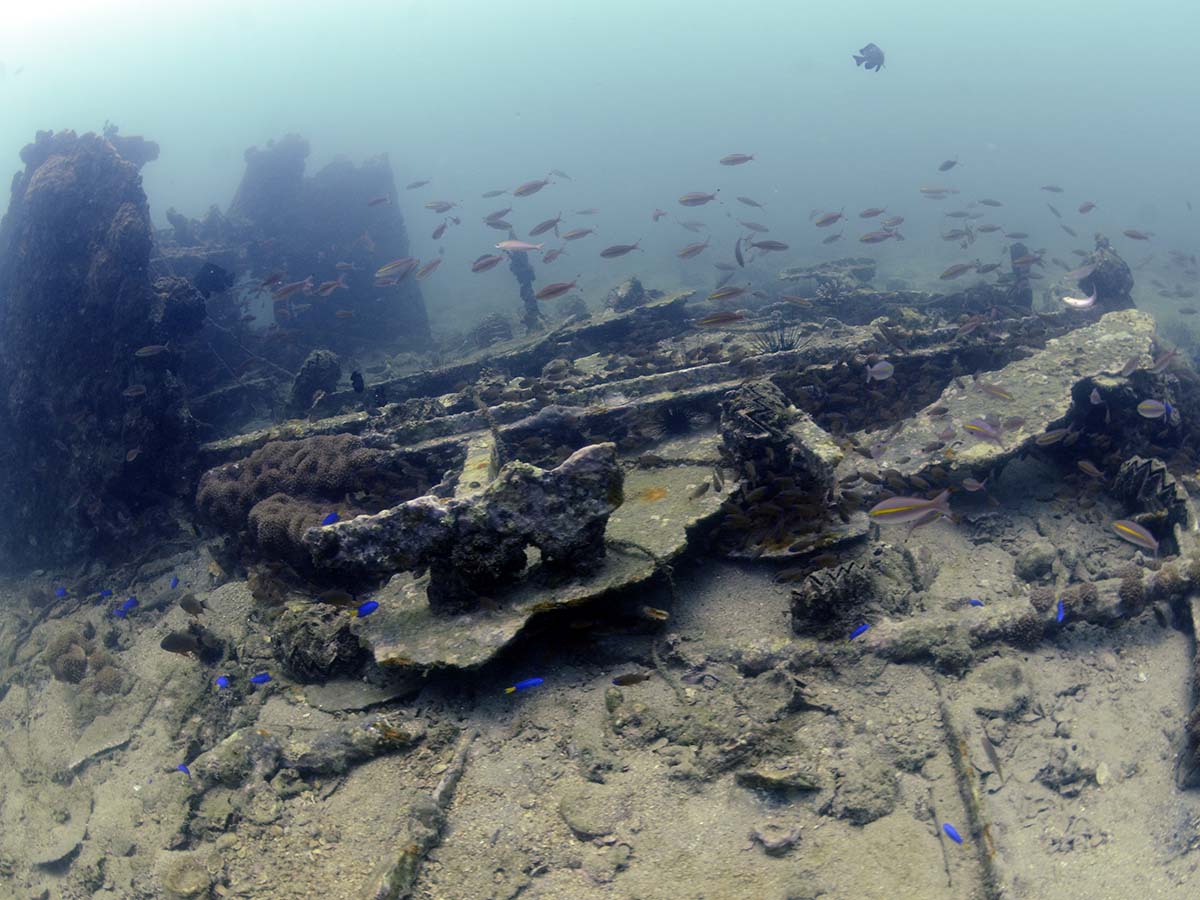 remains of the boat
