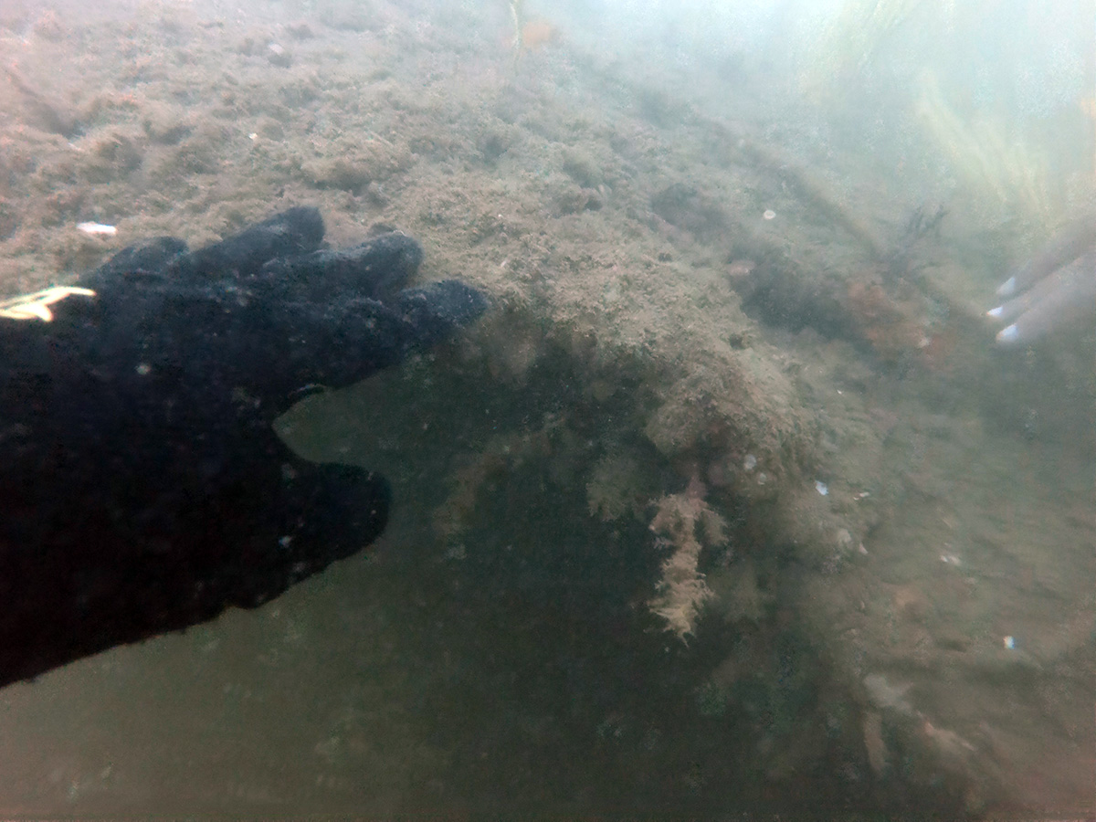 Remains of iron hull