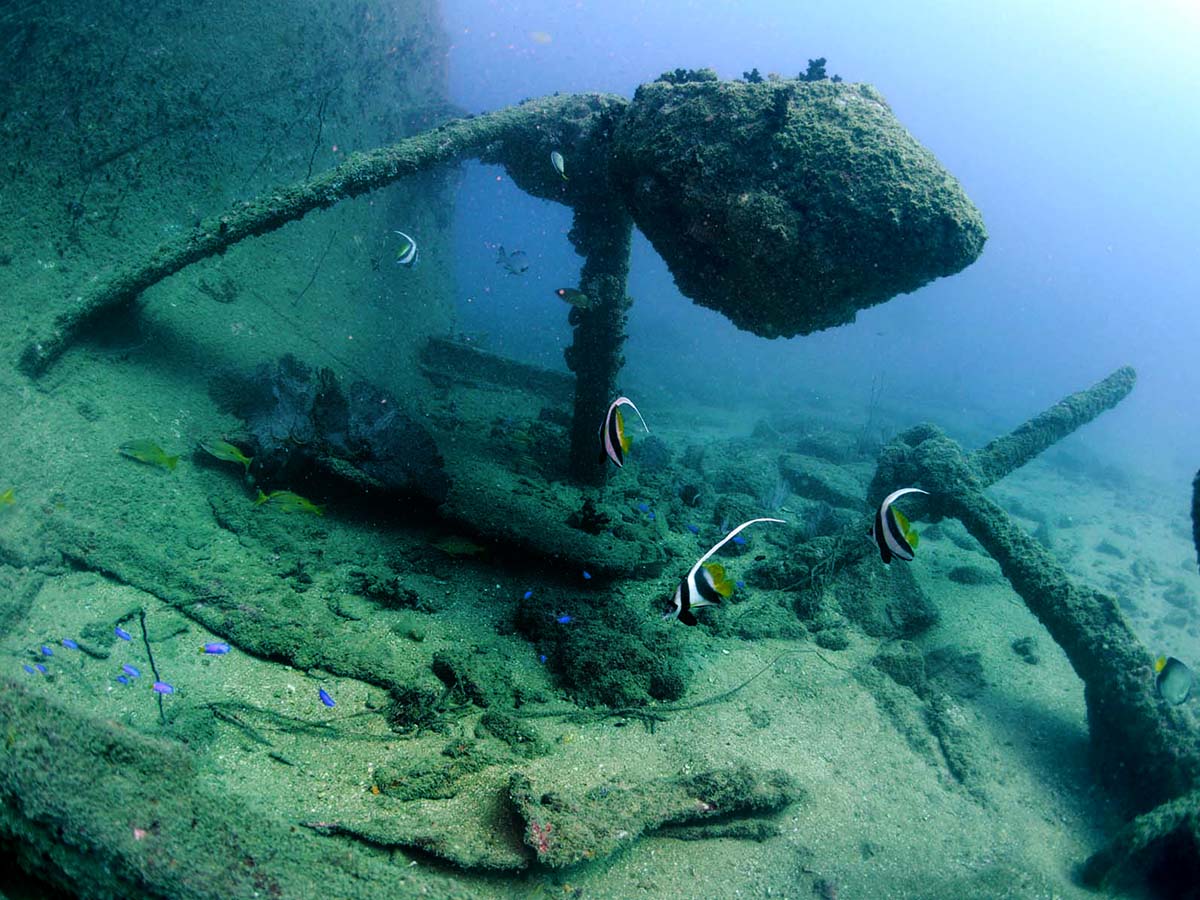 remains of the wreck