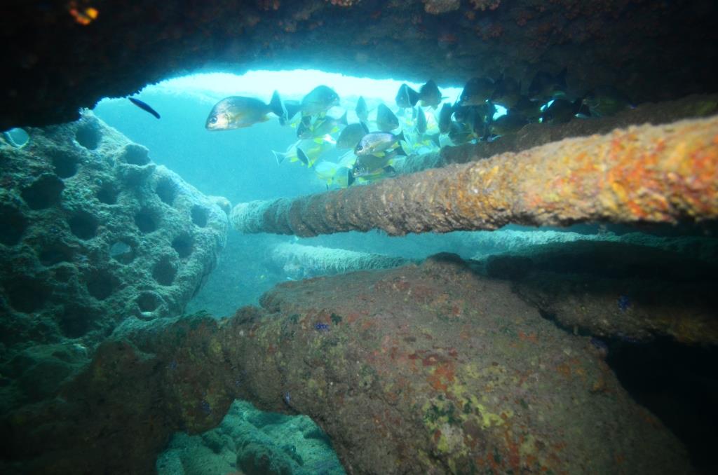 remains of the wreck