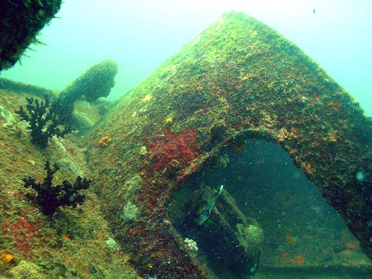 Remains of the boat