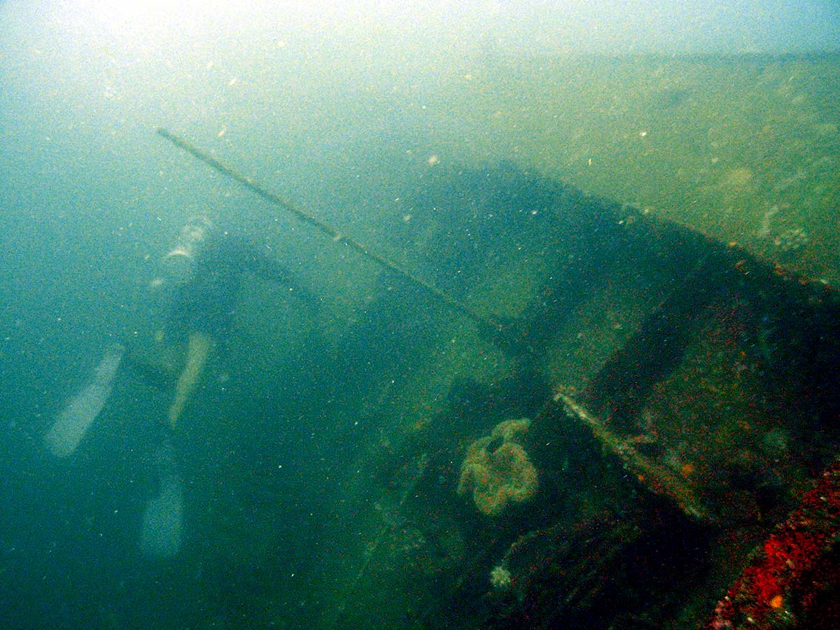 Remains of the boat
