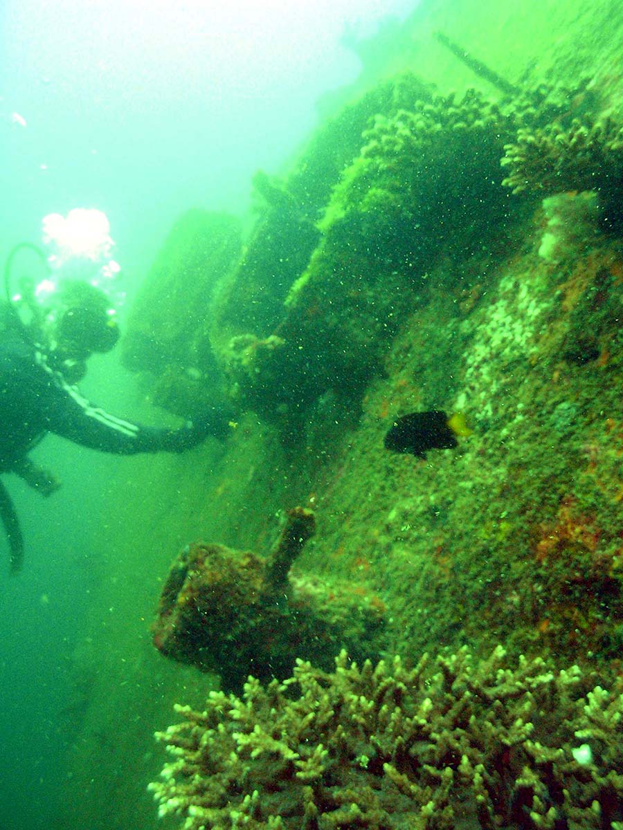 Remains of the boat