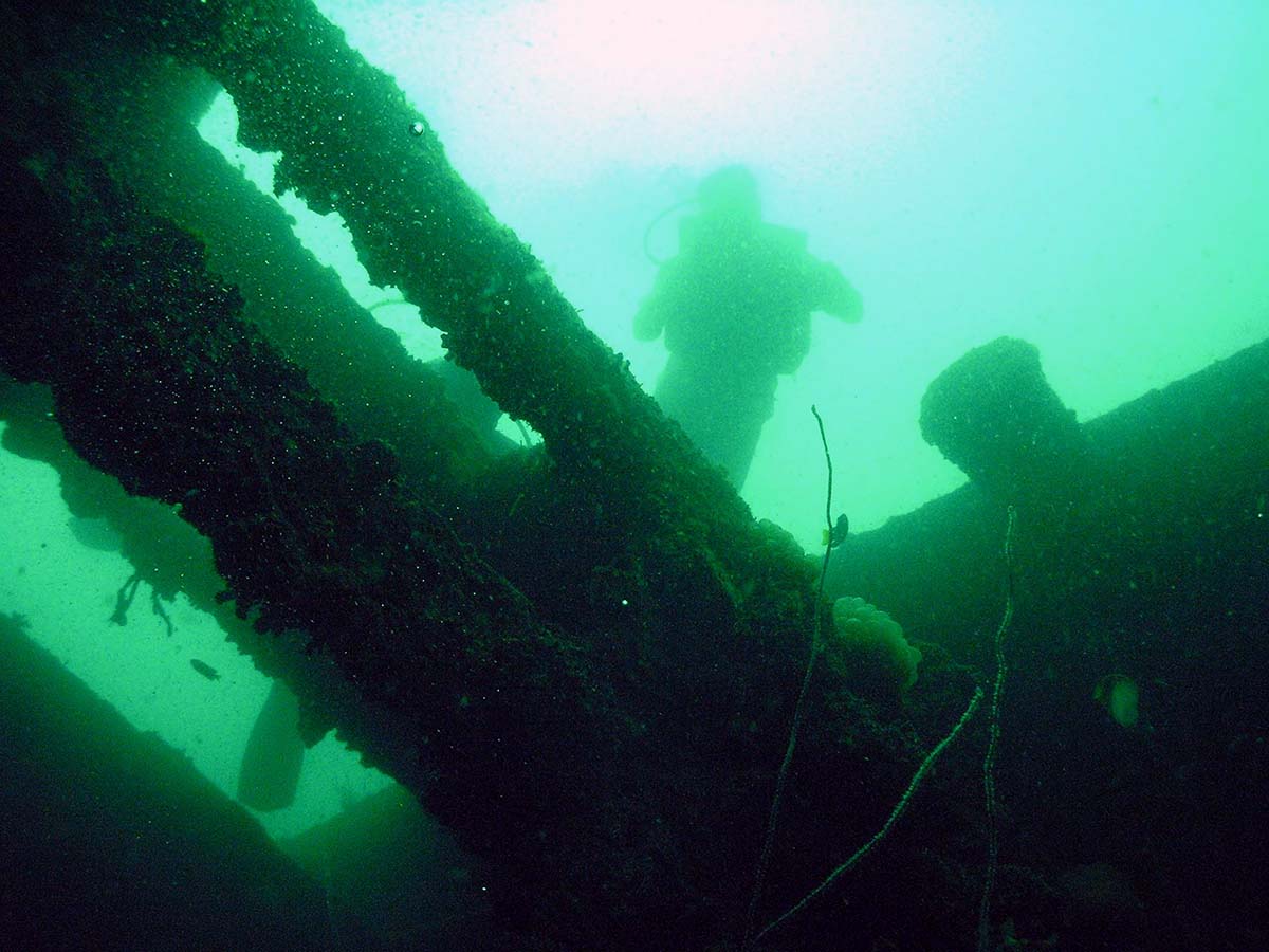 Remains of the boat