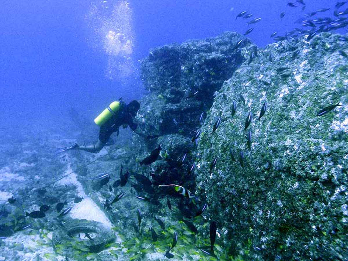 remains of the wreck