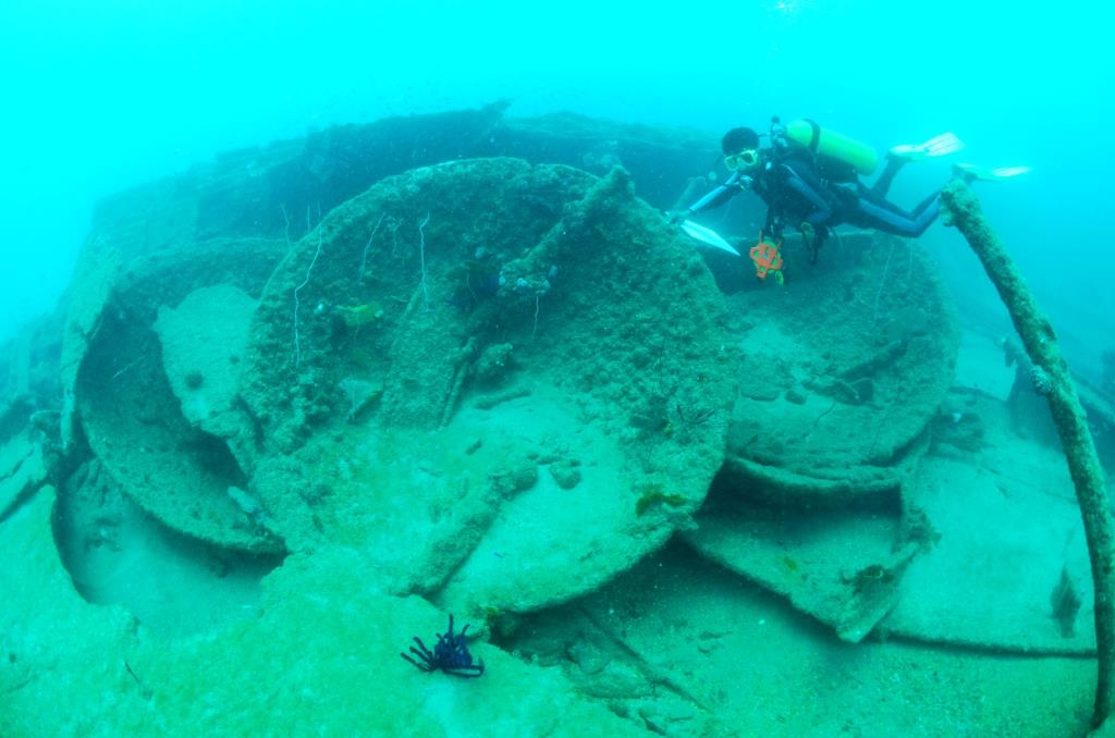 remains of the wreck