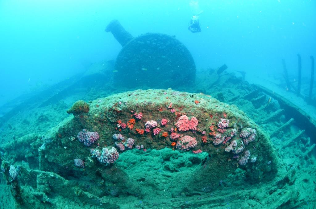 remains of the wreck