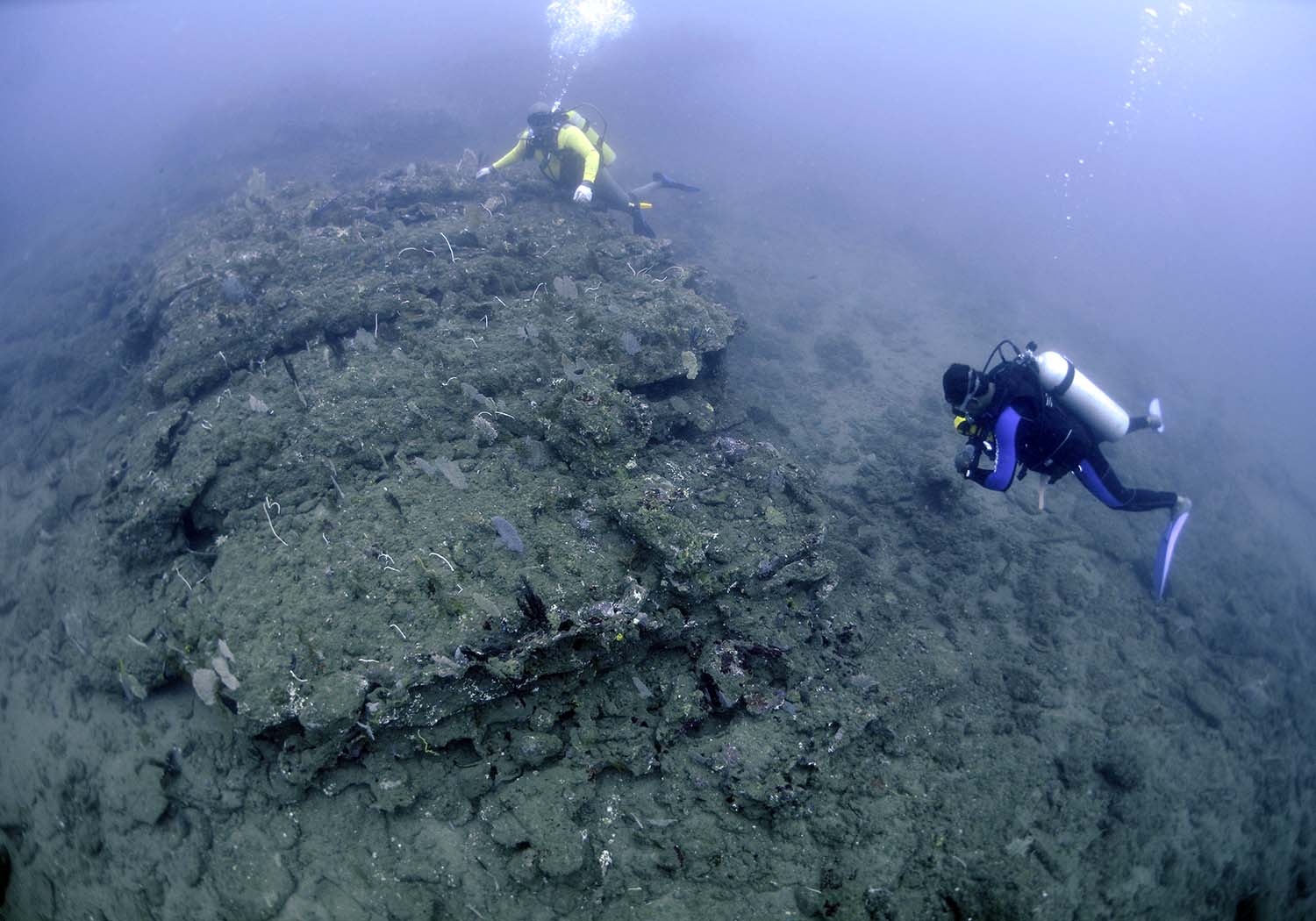 remains of the wreck