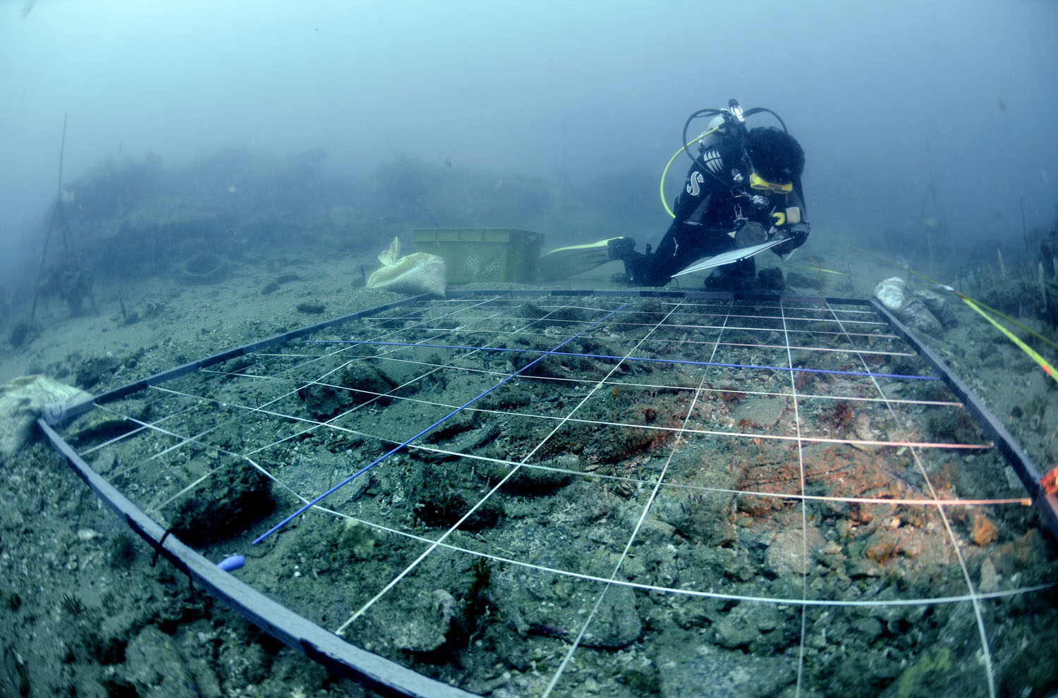 remains of the wreck