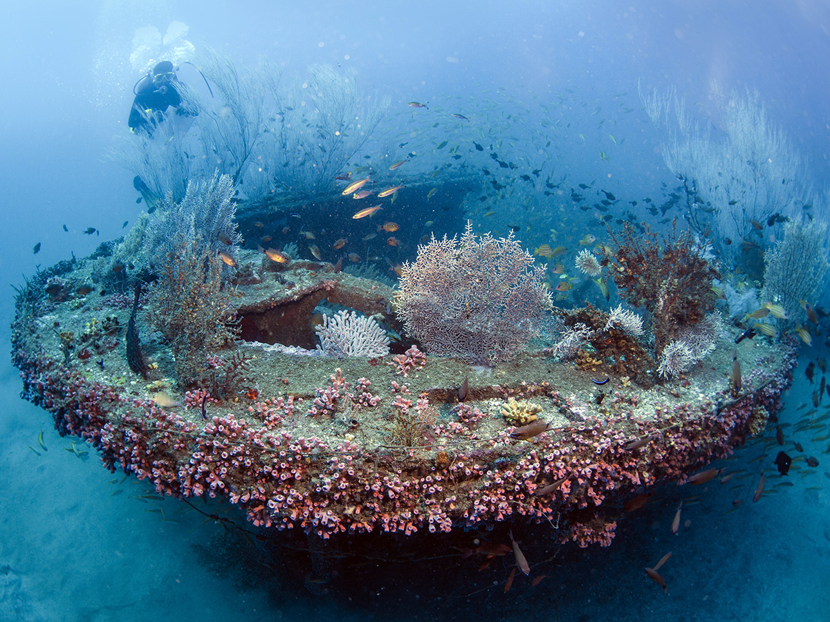 The stern view