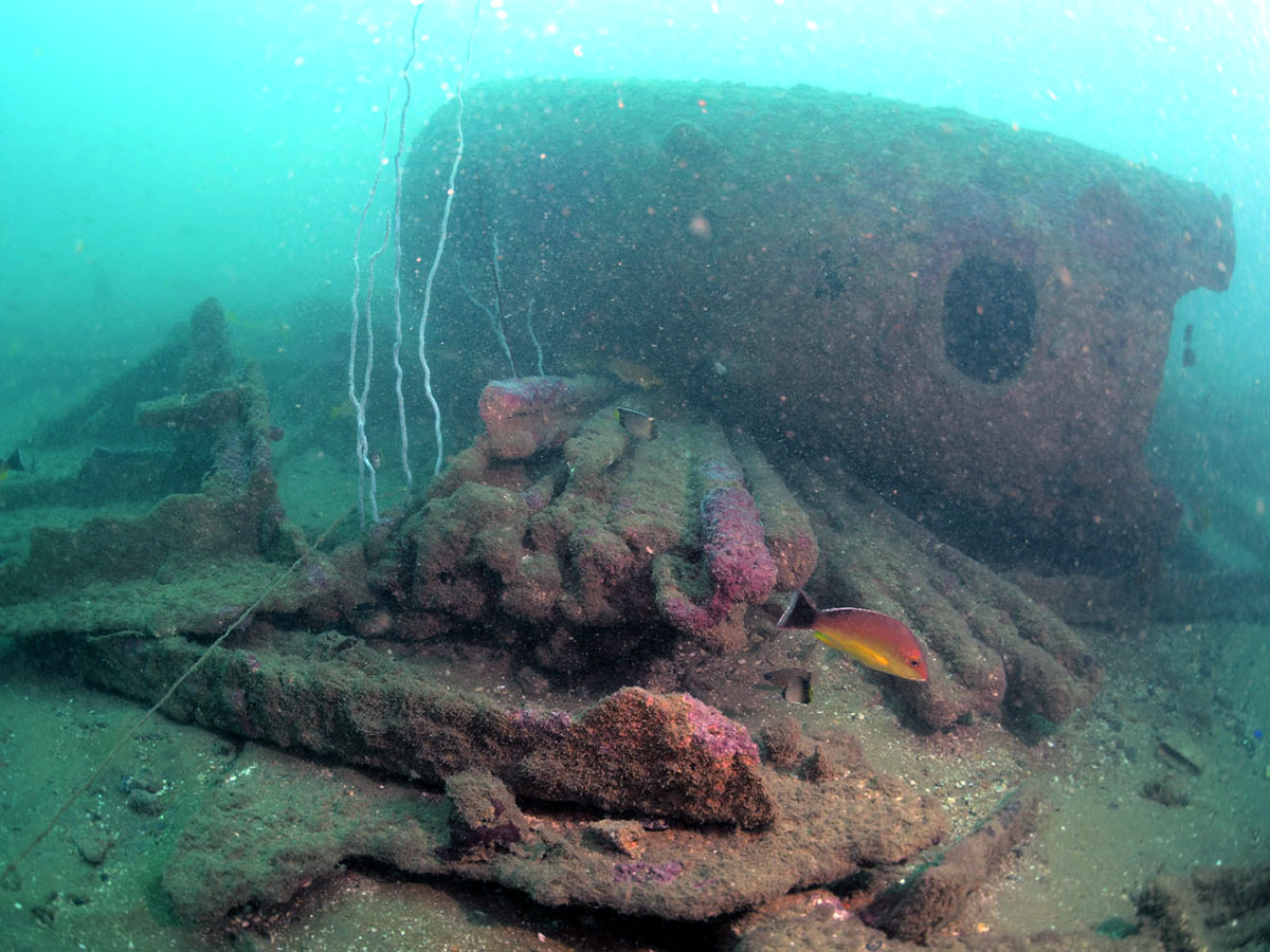 Second Barge