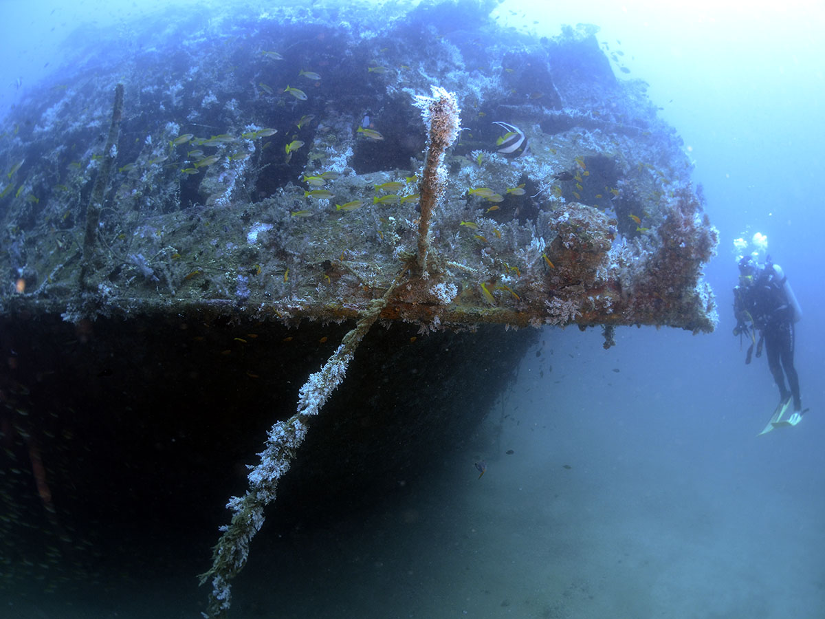 Bow end of the wreck