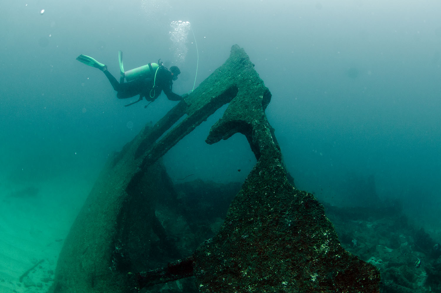 Bow of the wreck