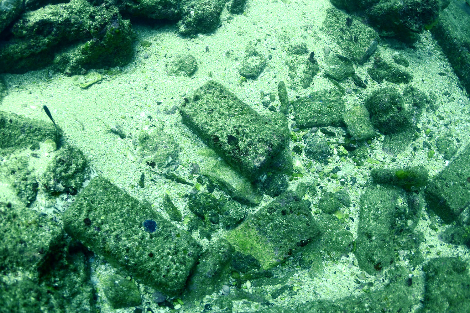 Bricks found all over the shipwreck