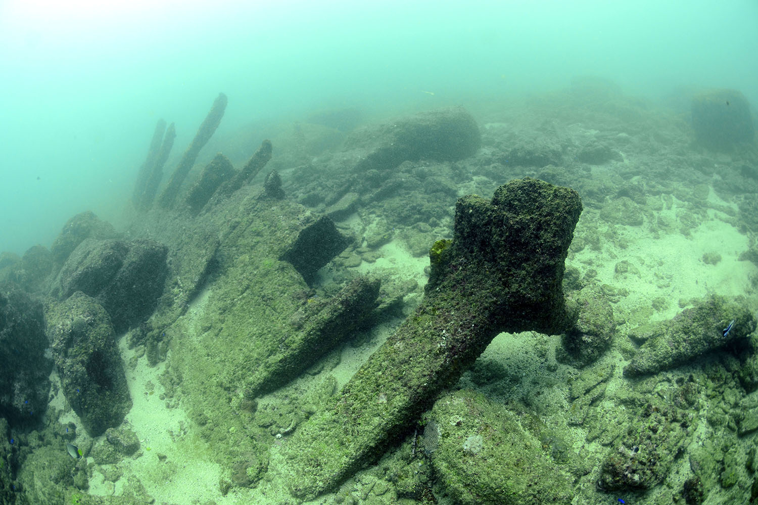 Video of the shipwreck