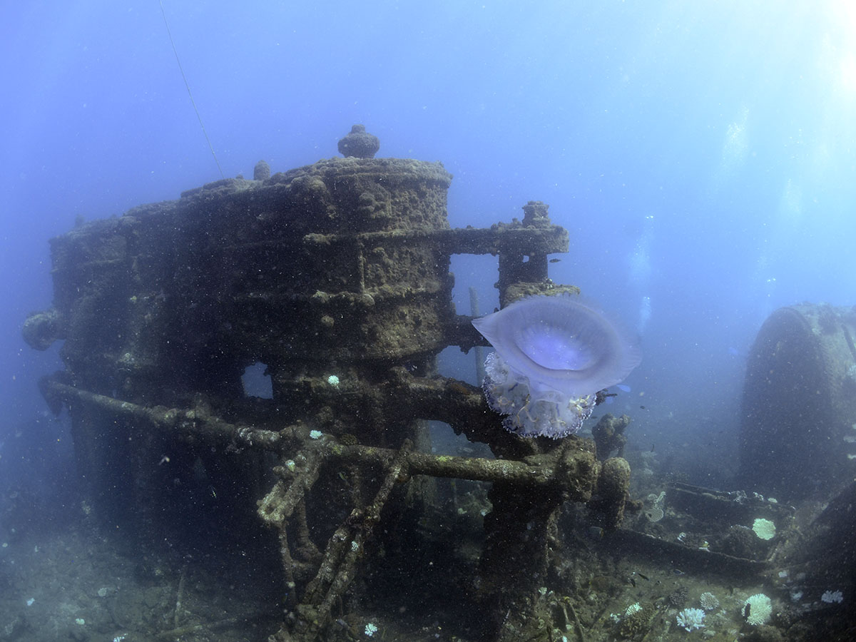 Engine parts of the wreck