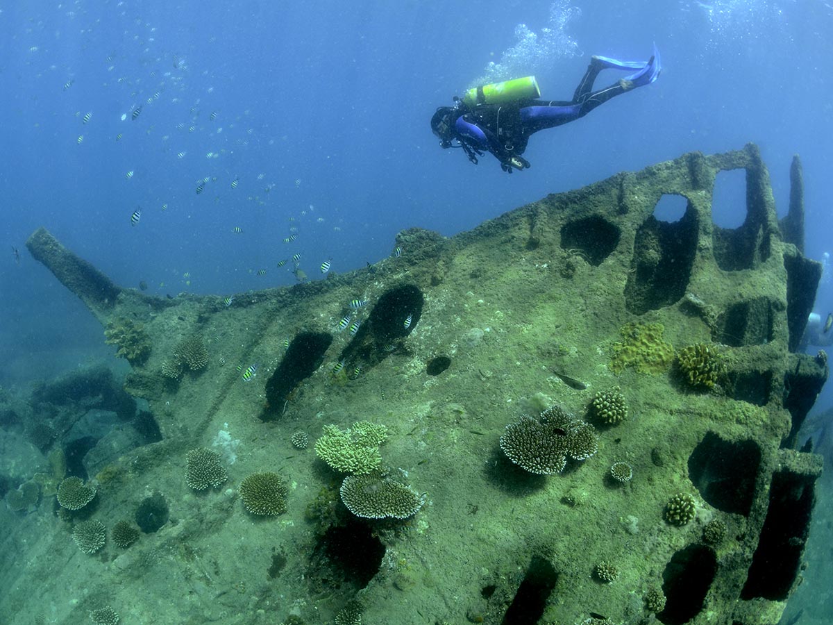 remains of the wreck