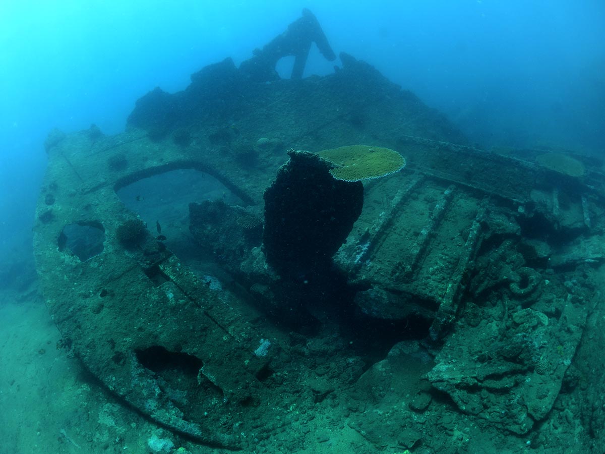 remains of the wreck