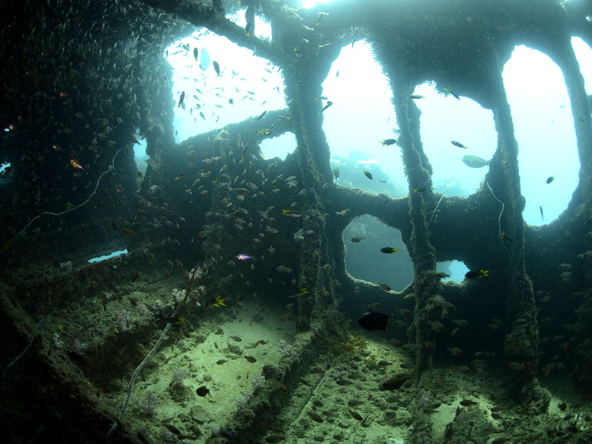 Inside the bow area