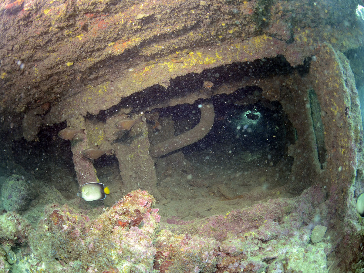 remains of the wreck