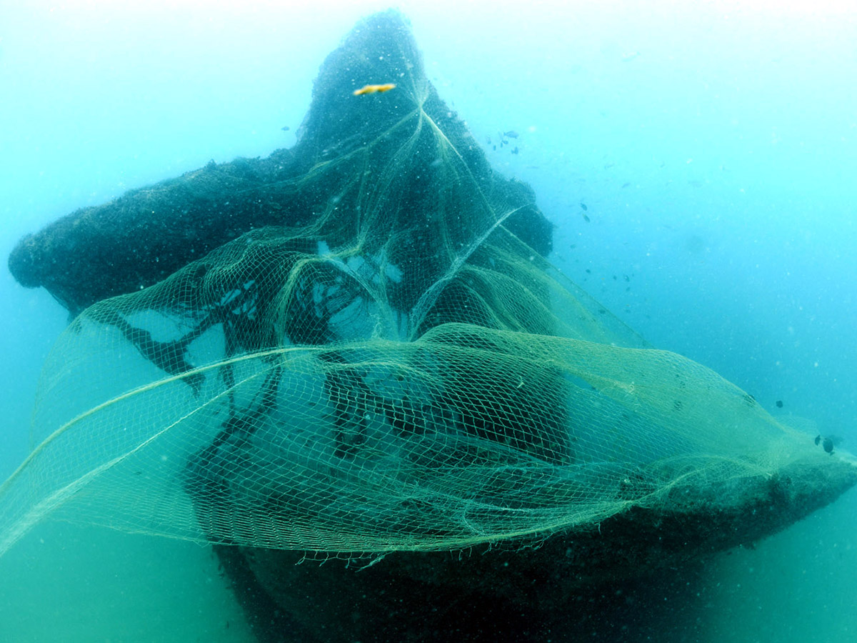 Stern end of the wreck